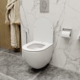 39188001 Инсталляция Grohe 38721001 в комплекте с унитазом безободковым